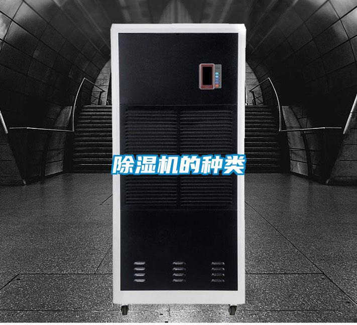 草莓视频APP在线观看的种类