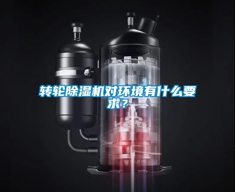 转轮草莓视频APP在线观看对环境有什么要求？