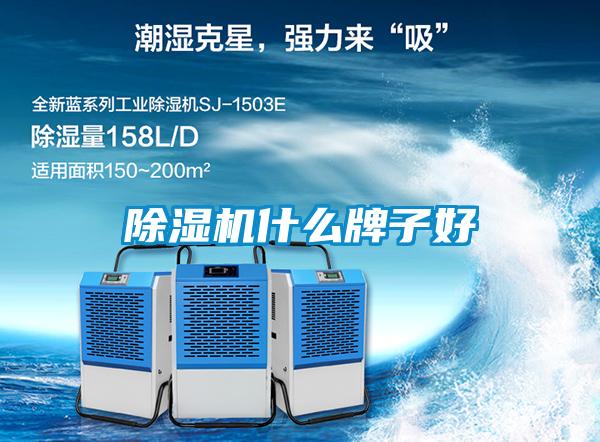 草莓视频APP在线观看什么牌子好