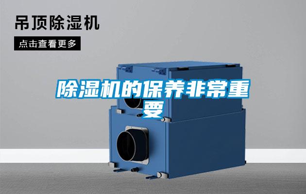 草莓视频APP在线观看的保养非常重要