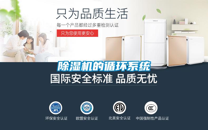 草莓视频APP在线观看的循环系统