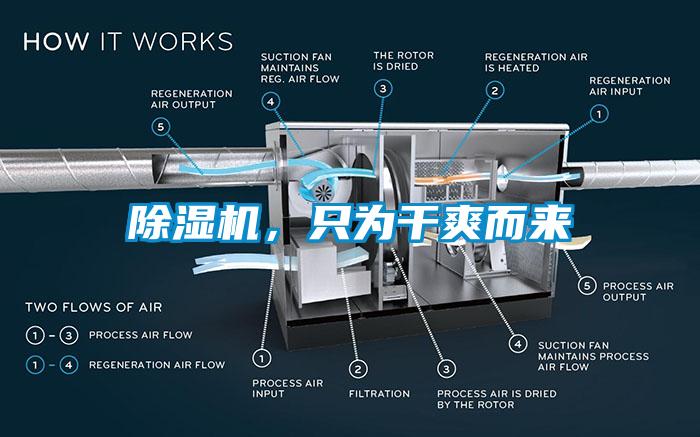 草莓视频APP在线观看，只为干爽而来