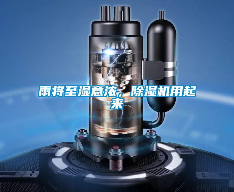 雨将至湿意浓，草莓视频APP在线观看用起来