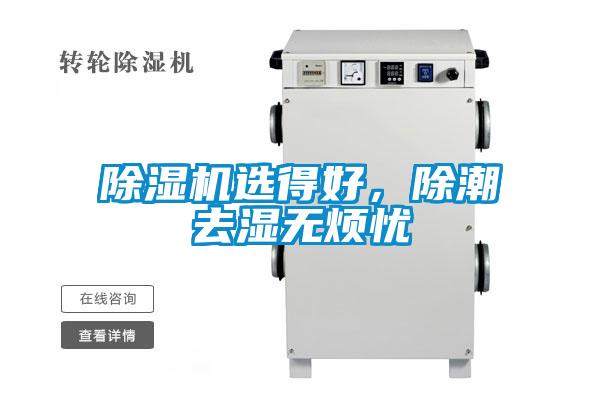 草莓视频APP在线观看选得好，除潮去湿无烦忧