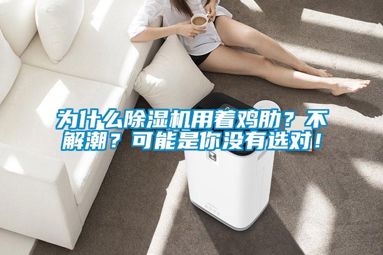 为什么草莓视频APP在线观看用着鸡肋？不解潮？可能是你没有选对！