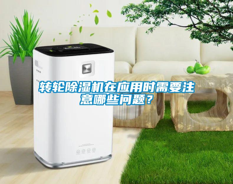转轮草莓视频APP在线观看在应用时需要注意哪些问题？