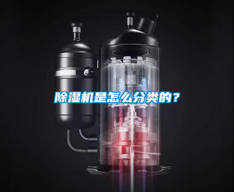 草莓视频APP在线观看是怎么分类的？