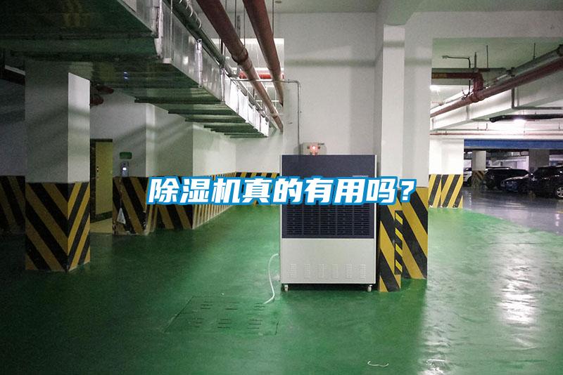 草莓视频APP在线观看真的有用吗？