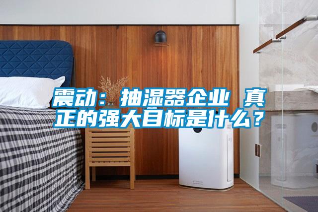 震动：抽湿器企业 真正的强大目标是什么？