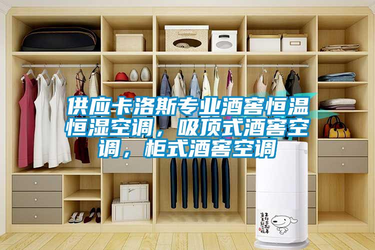 供应卡洛斯专业酒窖恒温恒湿空调，吸顶式酒窖空调，柜式酒窖空调