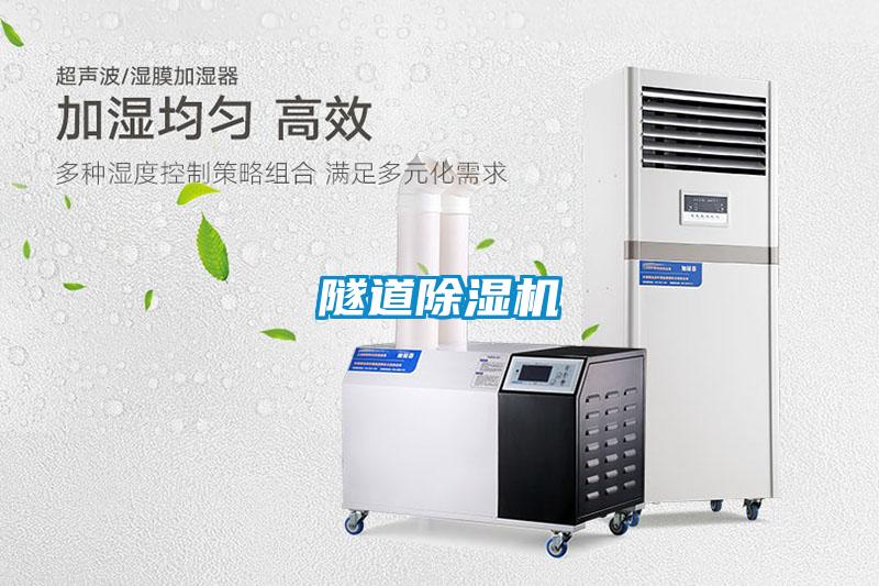 隧道草莓视频APP在线观看
