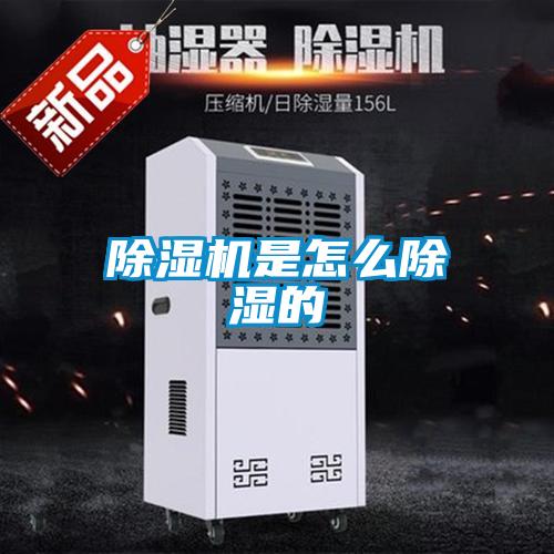 草莓视频APP在线观看是怎么除湿的