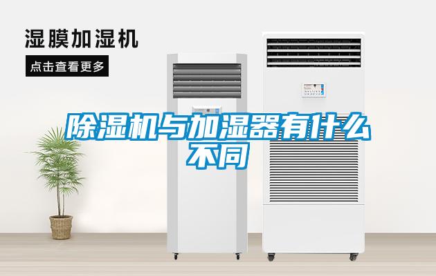 草莓视频APP在线观看与加湿器有什么不同