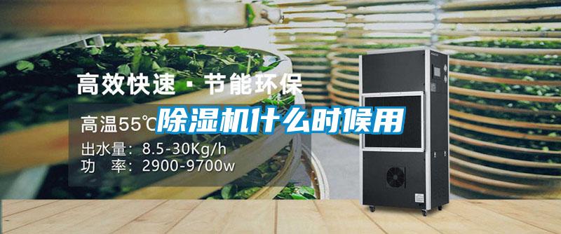 草莓视频APP在线观看什么时候用