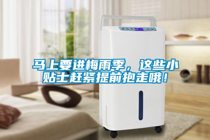马上要进梅雨季，这些小贴士赶紧提前抱走哦！