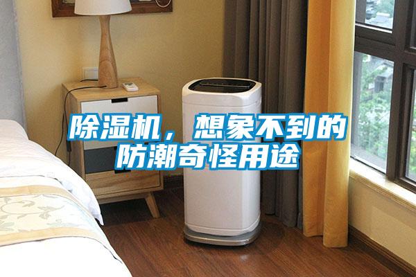 草莓视频APP在线观看，想象不到的防潮奇怪用途