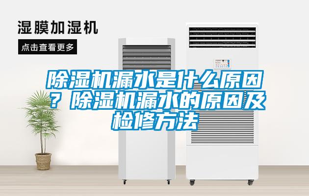 草莓视频APP在线观看漏水是什么原因？草莓视频APP在线观看漏水的原因及检修方法