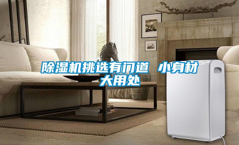 草莓视频APP在线观看挑选有门道 小身材大用处