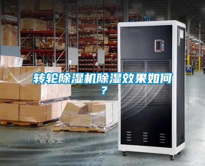 转轮草莓视频APP在线观看除湿效果如何？