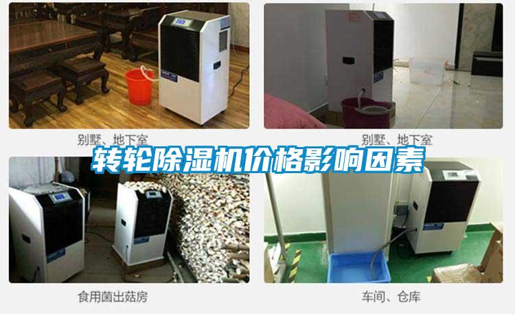 转轮草莓视频APP在线观看价格影响因素