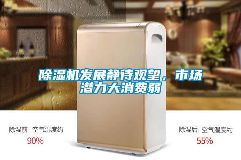 草莓视频APP在线观看发展静待观望，市场潜力大消费弱