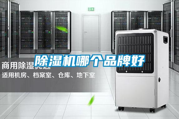 草莓视频APP在线观看哪个品牌好