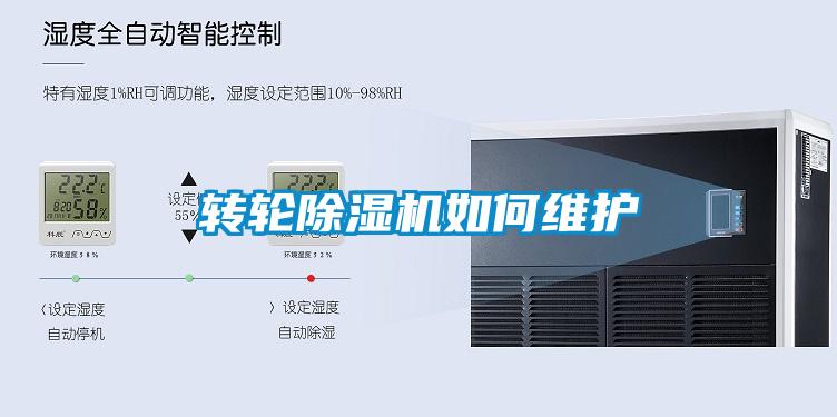 转轮草莓视频APP在线观看如何维护