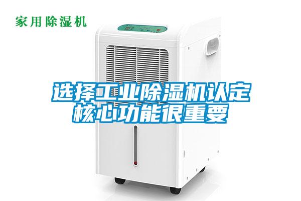选择工业草莓视频APP在线观看认定核心功能很重要