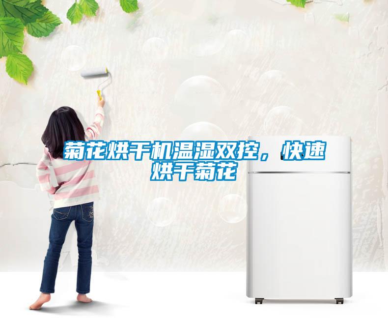 菊花烘干机温湿双控，快速烘干菊花