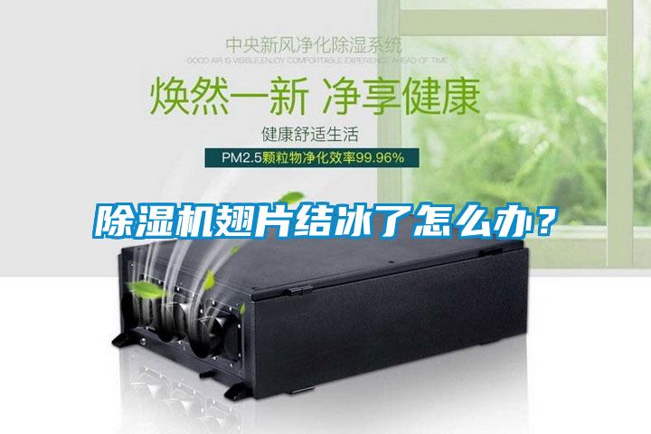 草莓视频APP在线观看翅片结冰了怎么办？