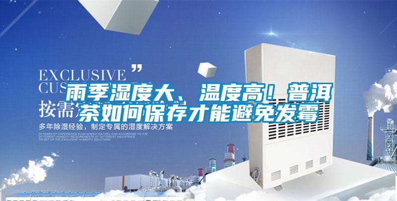 雨季湿度大、温度高！普洱茶如何保存才能避免发霉