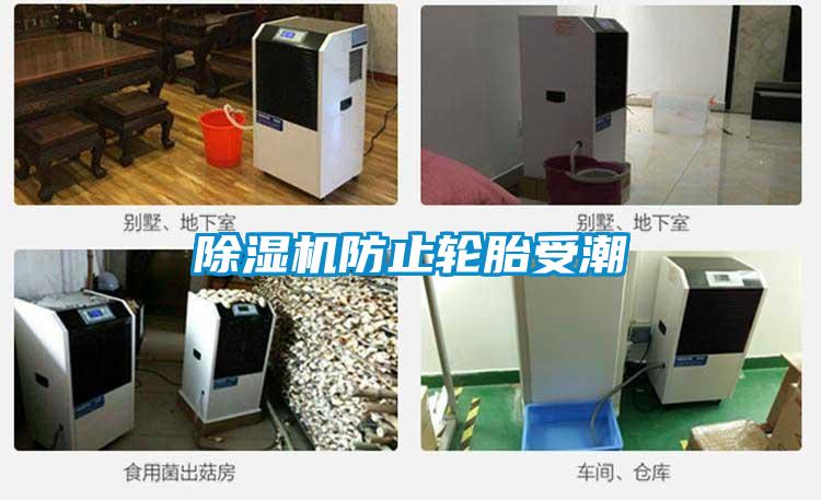 草莓视频APP在线观看防止轮胎受潮