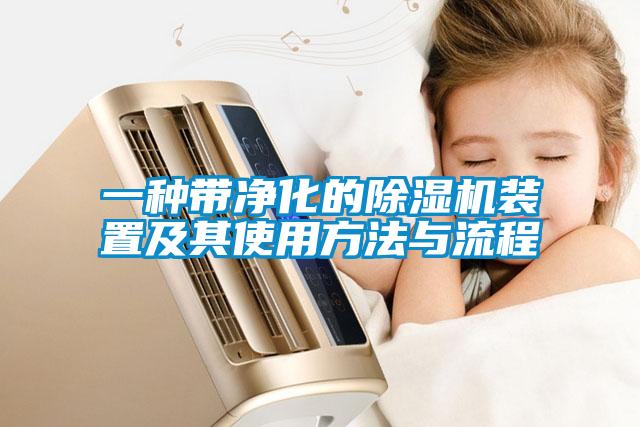 一种带净化的草莓视频APP在线观看装置及其使用方法与流程