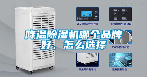 降温草莓视频APP在线观看哪个品牌好，怎么选择