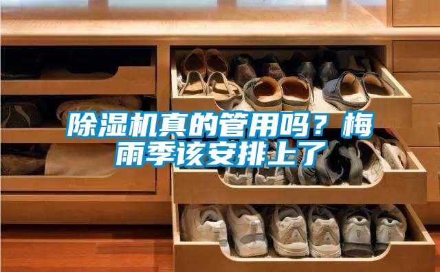 草莓视频APP在线观看真的管用吗？梅雨季该安排上了