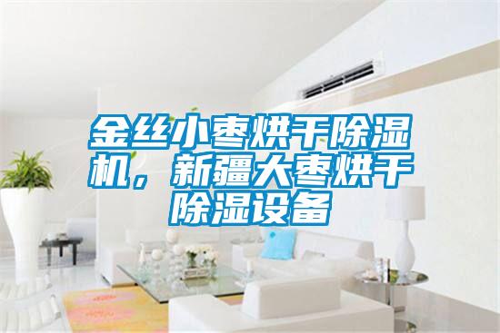 金丝小枣烘干草莓视频APP在线观看，新疆大枣烘干除湿设备