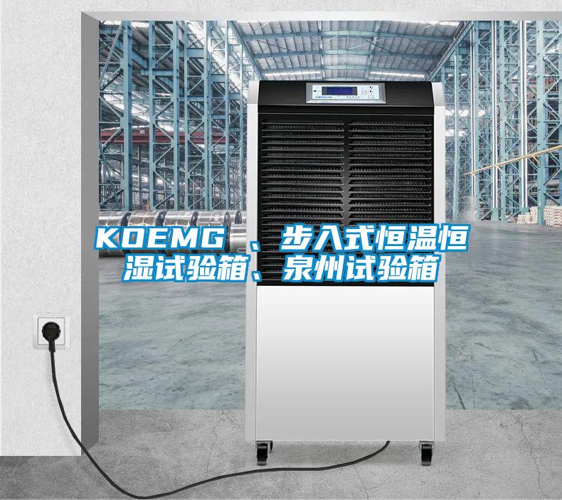 KOEMG 、步入式恒温恒湿试验箱、泉州试验箱