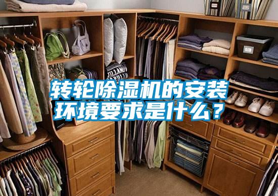 转轮草莓视频APP在线观看的安装环境要求是什么？