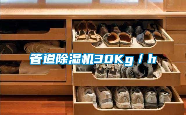 管道草莓视频APP在线观看30Kg／h