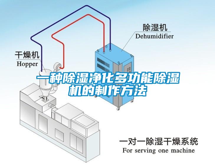 一种除湿净化多功能草莓视频APP在线观看的制作方法