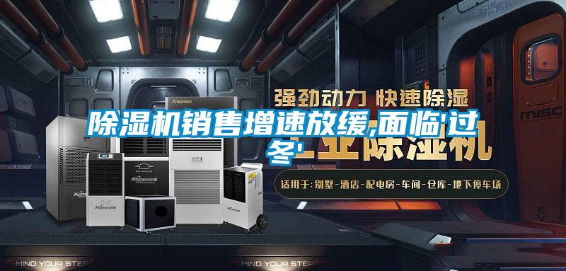 草莓视频APP在线观看销售增速放缓,面临'过冬'