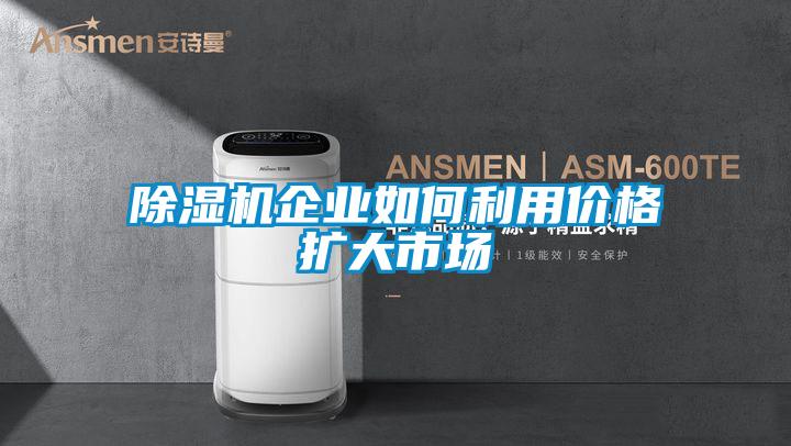 草莓视频APP在线观看企业如何利用价格扩大市场