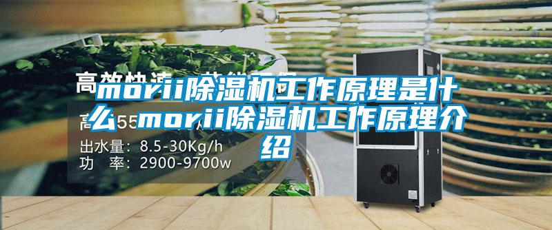 morii草莓视频APP在线观看工作原理是什么 morii草莓视频APP在线观看工作原理介绍