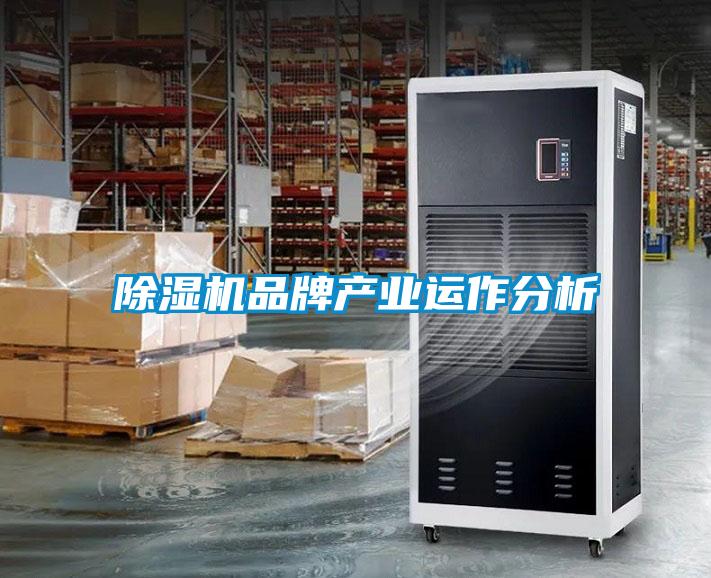 草莓视频APP在线观看品牌产业运作分析