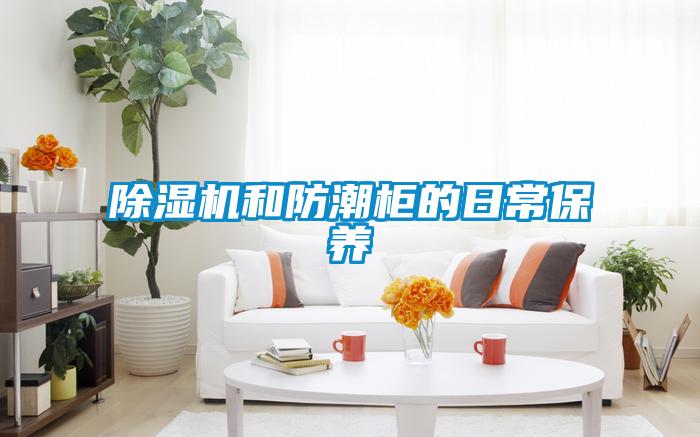 草莓视频APP在线观看和防潮柜的日常保养