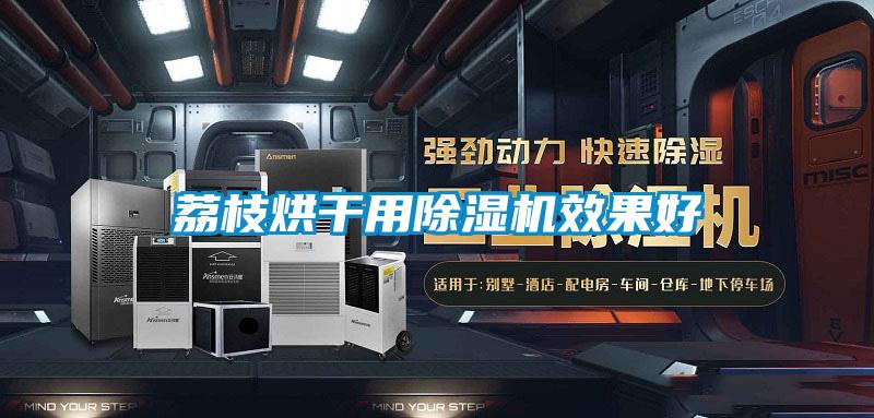 荔枝烘干用草莓视频APP在线观看效果好