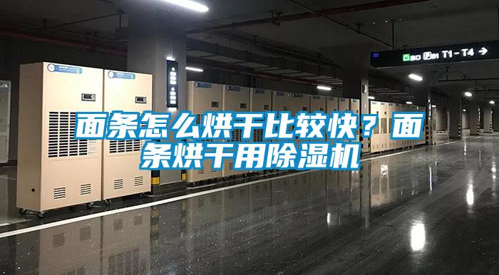 面条怎么烘干比较快？面条烘干用草莓视频APP在线观看