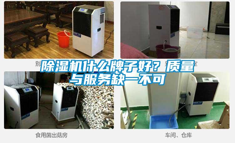 草莓视频APP在线观看什么牌子好？质量与服务缺一不可