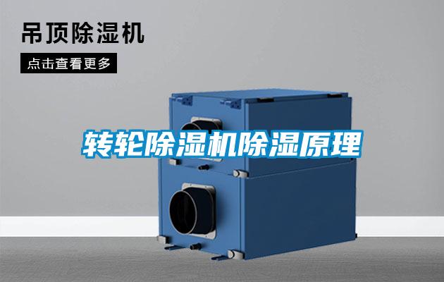 转轮草莓视频APP在线观看除湿原理