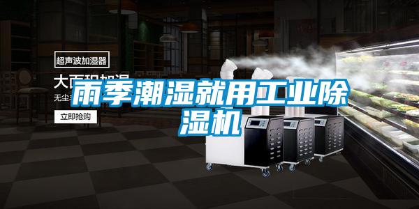 雨季潮湿就用工业草莓视频APP在线观看